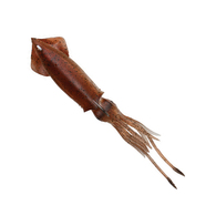 3D Swim Squid Lure - Brown