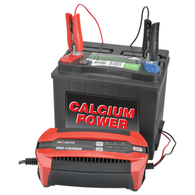 Pc800 8Amp 12V 6-Step Battery Charger