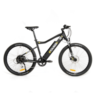 M1 TDB05Z Electric Mountain Bike - Black