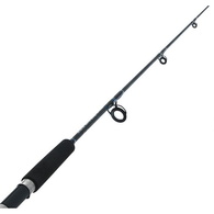 Generation GP Rock/Surf Rod 10' 4-10kg 2-pc