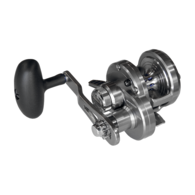 20 Saltiga Ld15h Overhead Lever Drag Reel