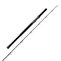 Hoodlum Star 902 Topwater Popper & Stickbait Spin Rod