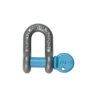 8mm Stainless Steel Towing Dee Shackle w/Captive Pin 1500kg