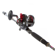 Fathom 25N LD/Ocean Assassin  5'0" PE3-5 Overhead Jig Combo