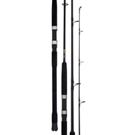 Bg 6500 / Bg Bluewater S56 5'6" Pe 5-8 Spin Jigging Combo With Braid
