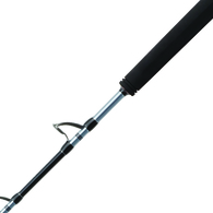 Beastmaster 12000 A / Abyss 80-130Lb Deep Drop Rod Bent Butt W/Braid