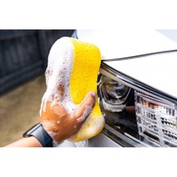 Jumbo Sponge