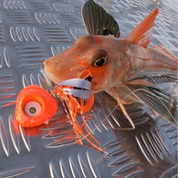 Grumpy Fish Led Kabura Jig - On Fire Orange