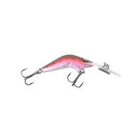 Poltergeist 50XDD Bibbed Trolling/casting lure - Rainbow Trout