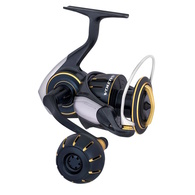 2023 SALTIGA (G) 4000-XH 6.2 Spinning Reel 