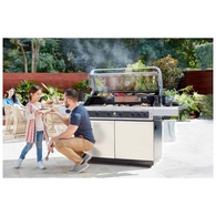 Deluxe 4 Burner Grill On Cart With Shelf And Ci Side Burner