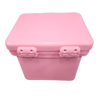 Cube Ice Box -25 Litre Pink