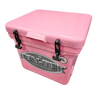 Cube Ice Box -25 Litre Pink