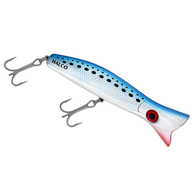 Roosta Popper 160 - Pilchard