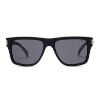 Liive Sunglass Casino - Polar