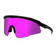 Dealer Sunglasses 
