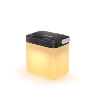 Area Camp Light/Lantern W/ Powerbank 