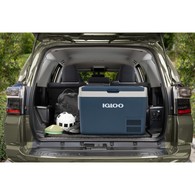 Icf60 Portable Fridge/Freezer 60L (3-Yr Warranty)