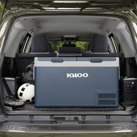 Icf-80 Portable Fridge/Freezer 81L Dual Zone (3-Yr Warranty)