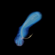 Ex016 Uv Glowing Plankton Sabiki 
