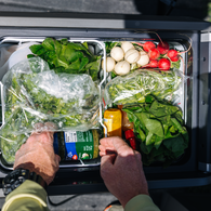 Cfx5-25 Portable Fridge Freezer W/App 25L 