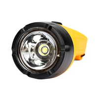 Waterproof Floating 50 Lumens Led Torch (2 X Aa Batteries)