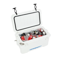 Ice Box With Bail Handle White 25L