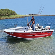 Seagull Retractable T-Top Blue 