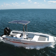 Seagull Retractable T-Top Blue 