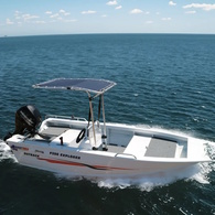 Seagull Retractable T-Top Black