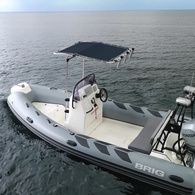 Seagull Retractable T-Top Black