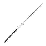 BF-R 6'10 1PCE 6-10KG SPIN ROD  