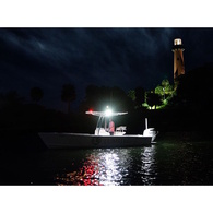 Caprera3 Bracket Mount Led Flood Light - White 