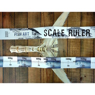 Fish Art Scale Ruler - Blue Fin Tuna 2600 X 75Mm