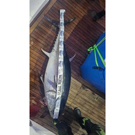 Fish Art Scale Ruler - Blue Fin Tuna 2600 X 75Mm