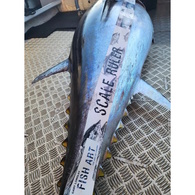 Fish Art Scale Ruler - Blue Fin Tuna 2600 X 75Mm
