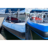 Fast Acting Rib Inflatable Cleaner  Bio-Friendly 1 Litre