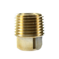 Brass Plug 1/2"