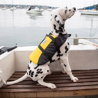 Comfort Pet Buoyancy Vest 