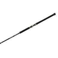 Saltiga C Dogfight 81-8 Topwater Spin Rod