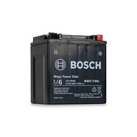 12v 28ah AGM Jet Ski PWC Battery RBWC-T30L (TX30L-BS)