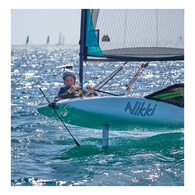 Carbon Wind Vane Pro - Horizontal