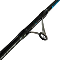 Elementus Ahi Tuna Jigging 6'1" Overhead Pe8 200G-450G Rod