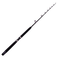 Plays 4000A / Auratus 15-24Kg 5'6 Electric Combo