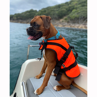 Premium Pet Buoyancy Vest Orange