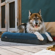 Boomer Dog Bed  2.0  Small & Large