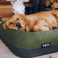 Boomer Dog Bed  2.0  Small & Large