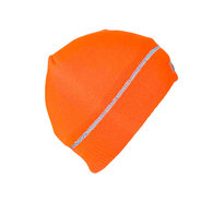 Beanie W/3M Thinsulate