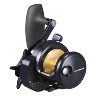 Saltiga 25 (G) 10 Reel Ohead Star Drag