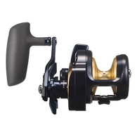 Saltiga 25 (G) 10 Reel Ohead Star Drag